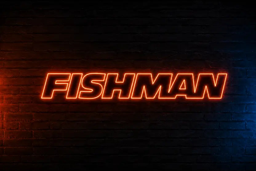 Fishman Acoustic Amps