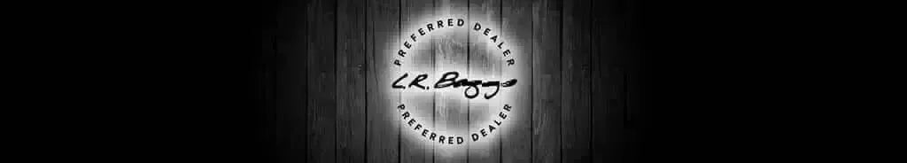 LR Baggs