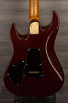 Patrick James Eggle 96 Contour Ocean Burst s#30796 | MusicStreet