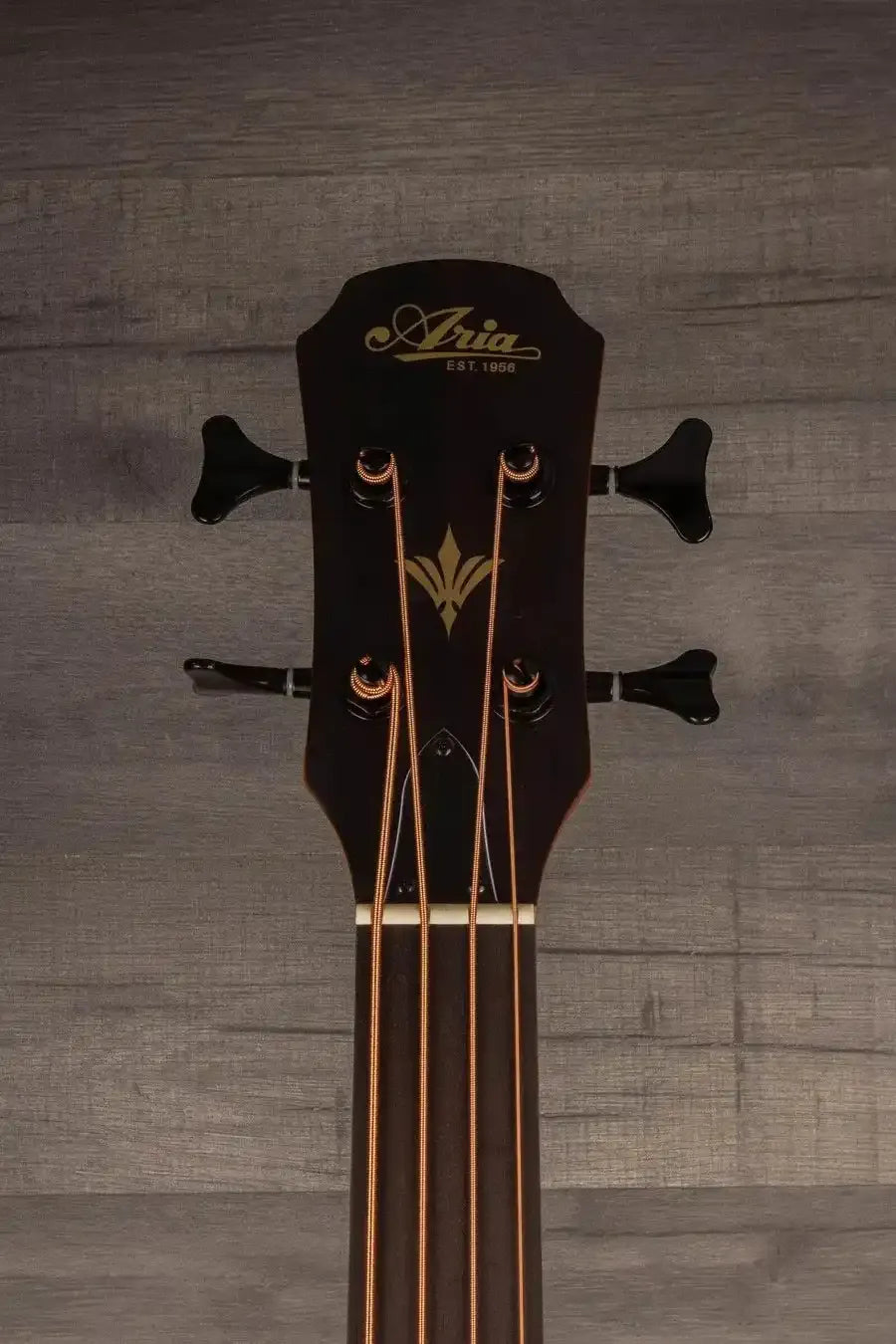 Aria FEB F2/FL Fretless Acoustic Bass Natural