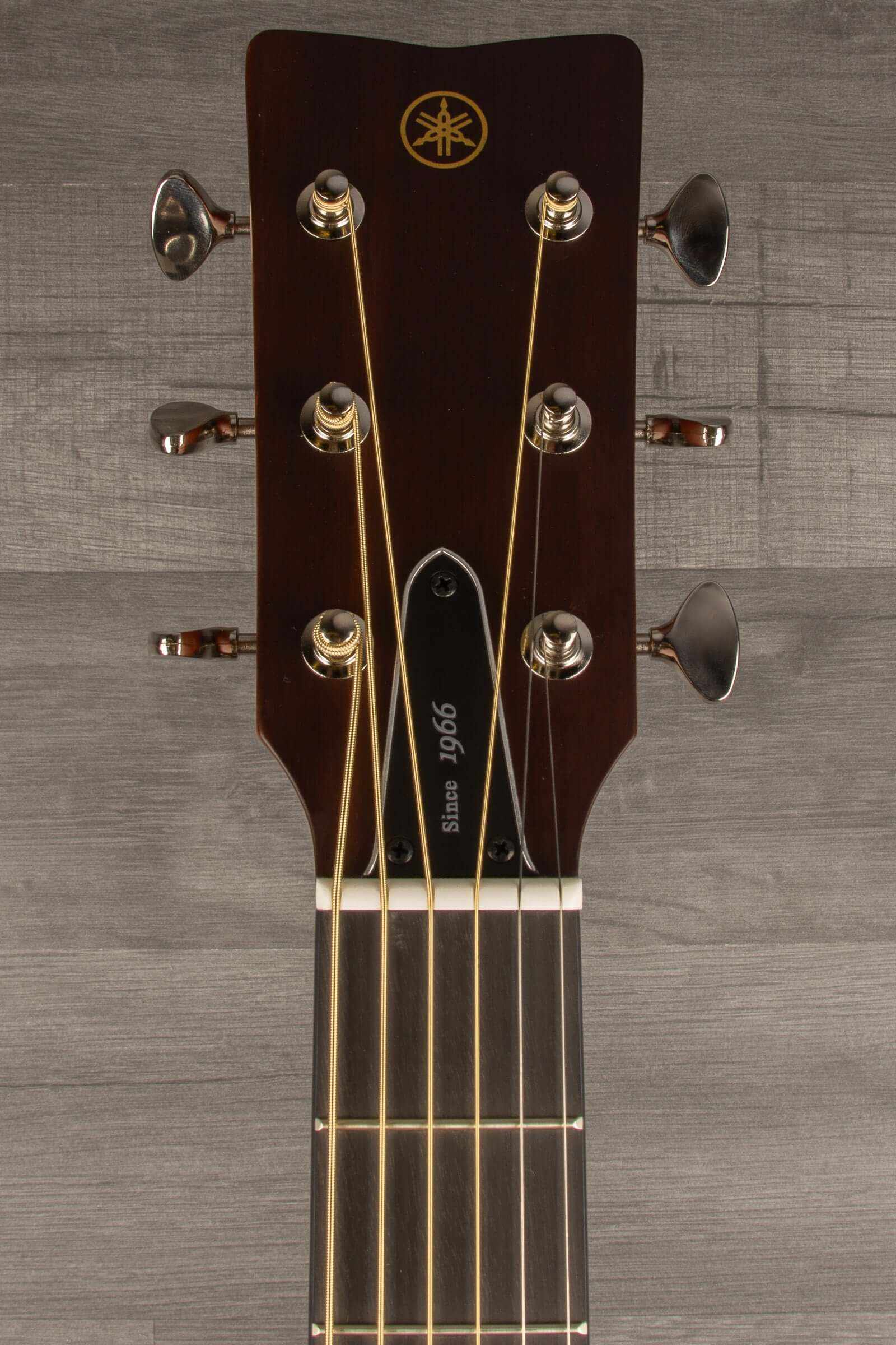 Yamaha FS5G - Acoustic Guitar