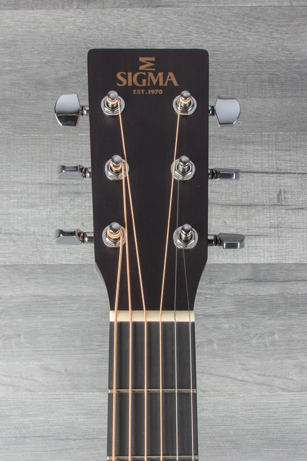 Sigma GMC-STE + Electro Acoustic Guitar