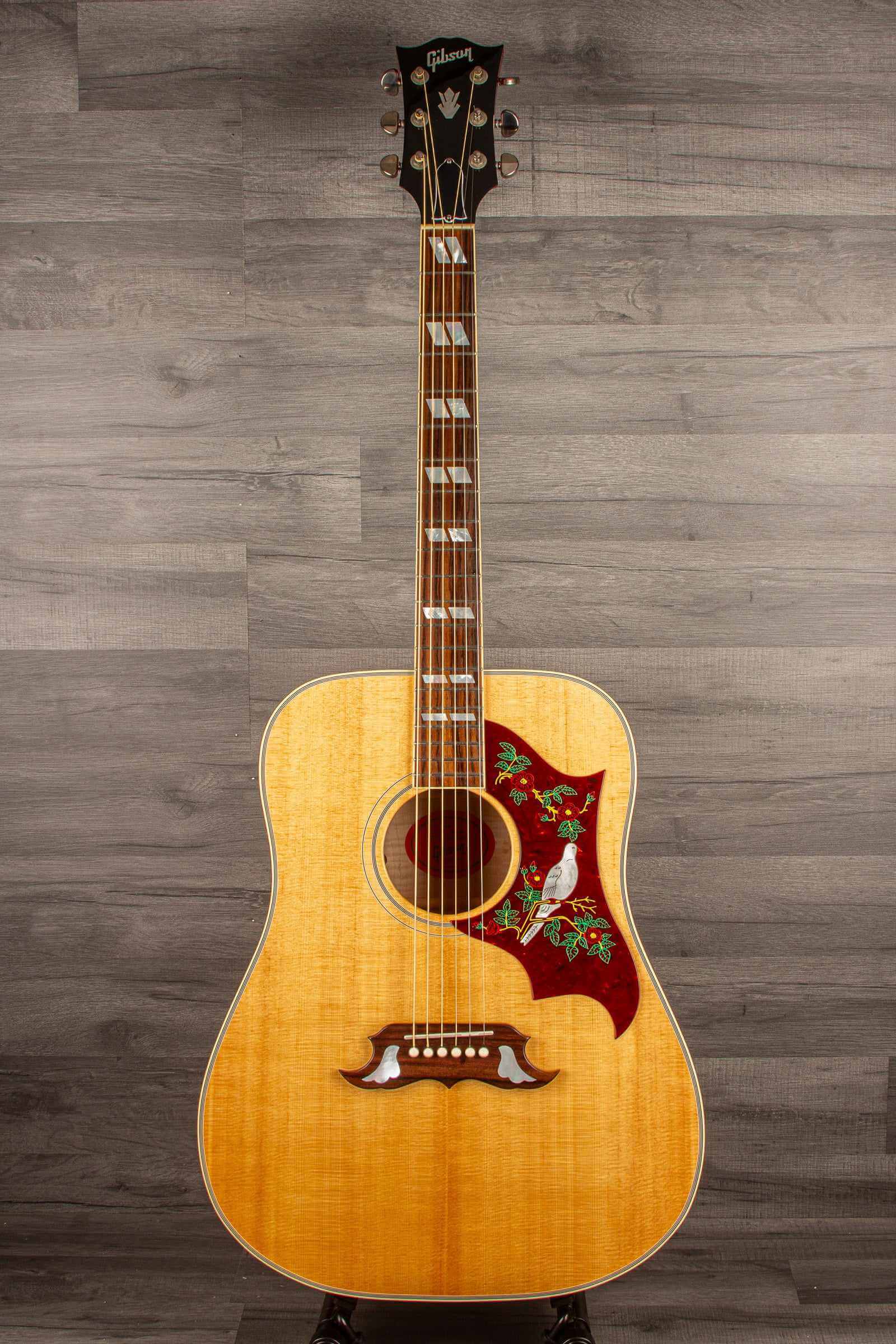 USED - Gibson Dove Acoustic Guitar