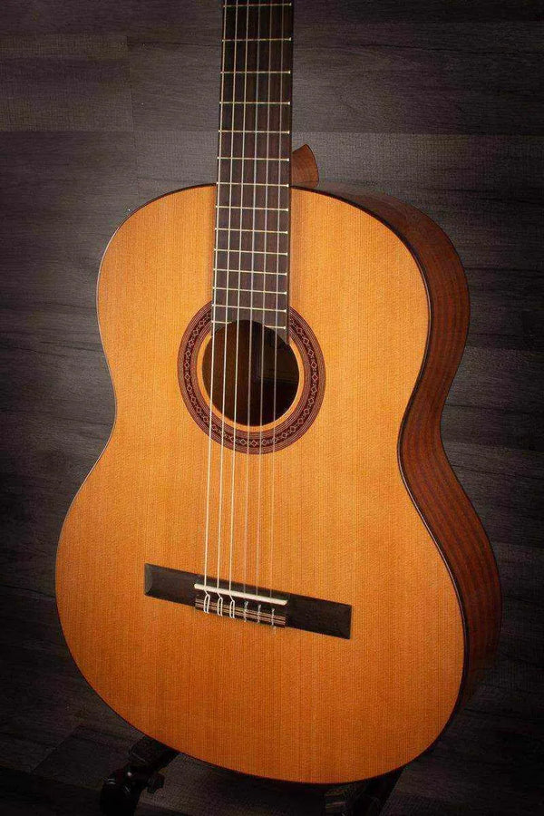 Cordoba C5