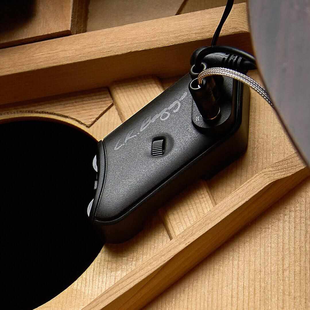LR BAGGS HIFI DUET HI-FIDELITY PICKUP + SILO MIC
