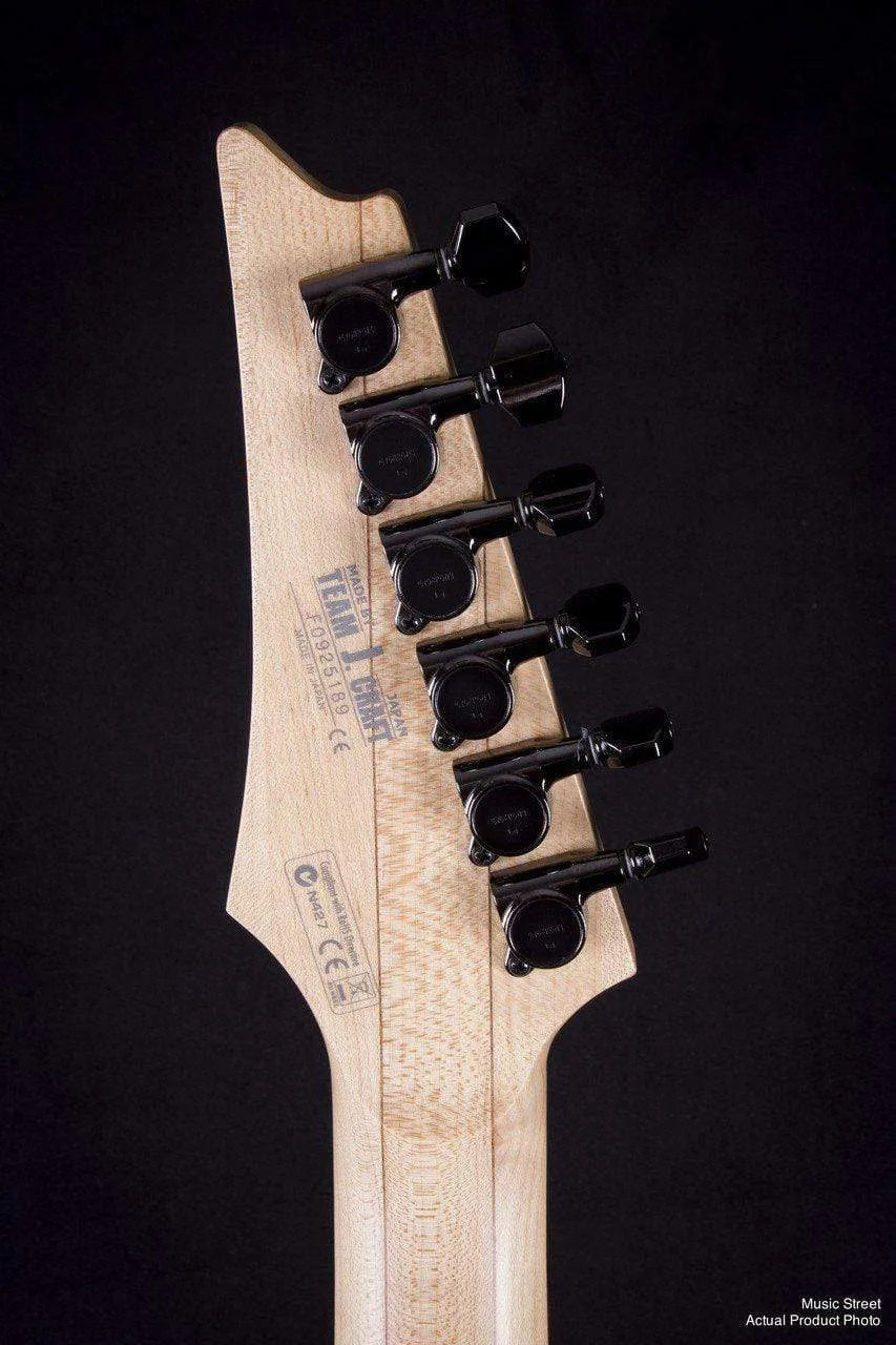 USED - Ibanez Pgm401
