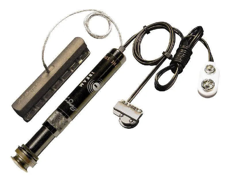 Lr Baggs Ibeam Dual Channel System