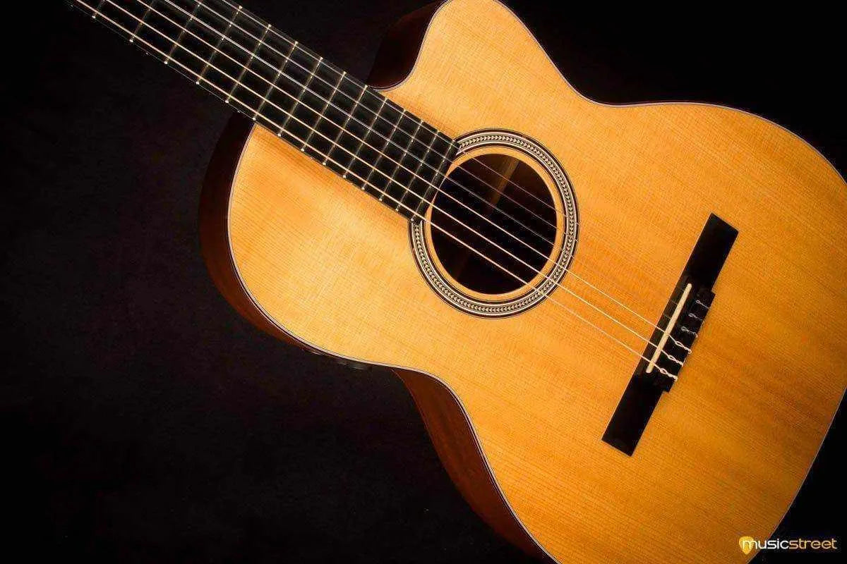 USED - Martin 000C Nylon Electro with hard case