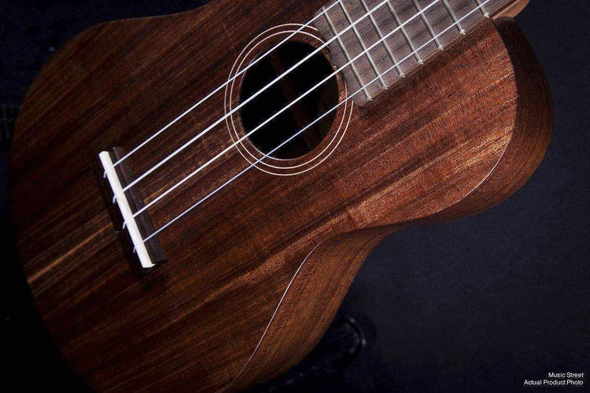 Maton Concert Ukelele - Blackwood