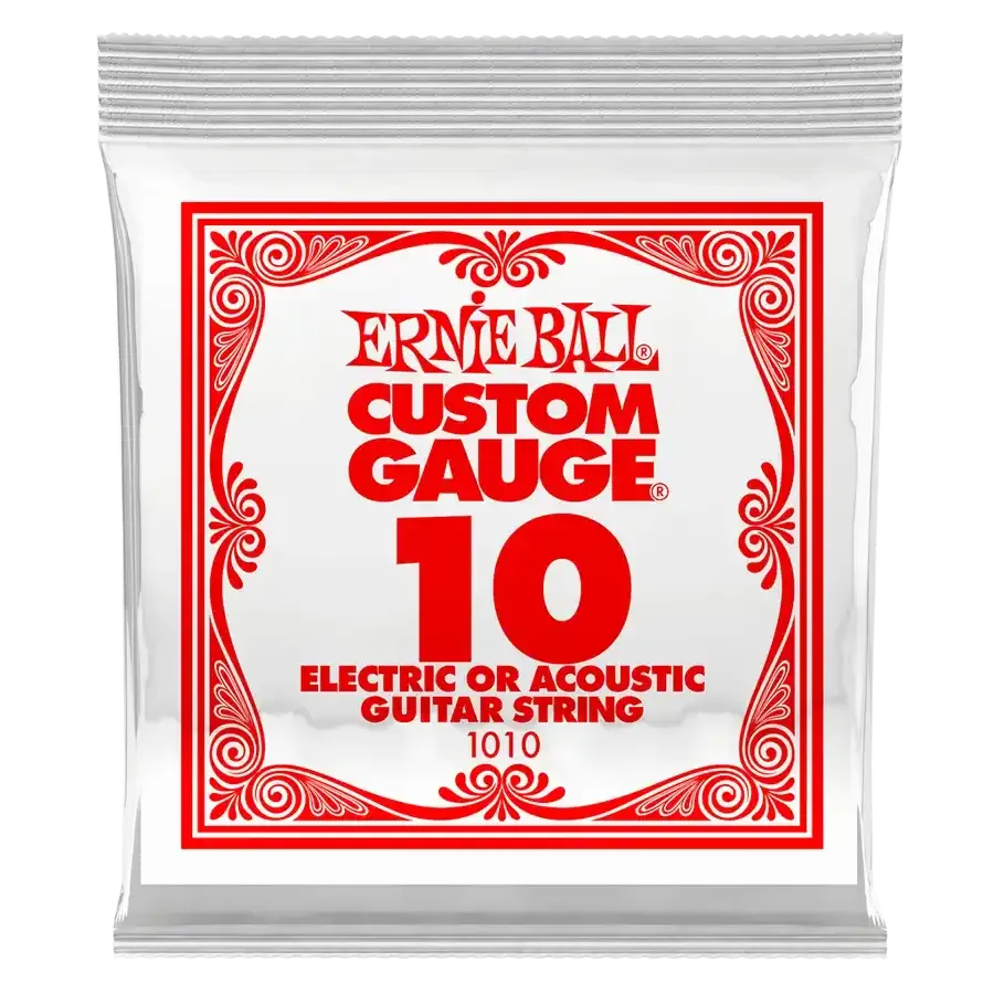 Ernie Ball P01010 - MusicStreet