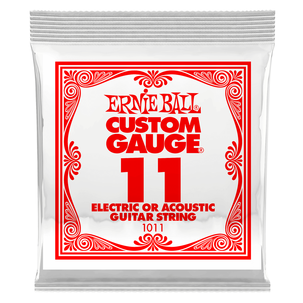 Ernie Ball P01011