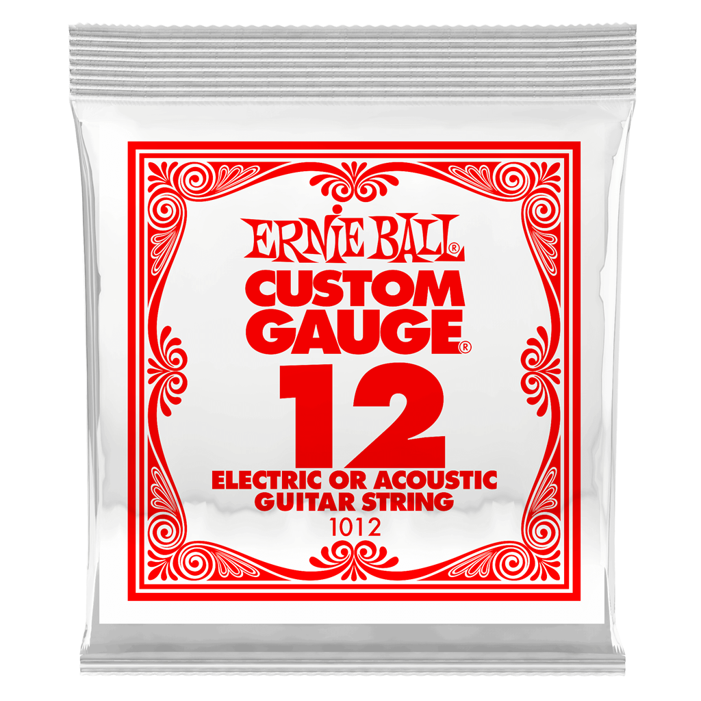 Ernie Ball P01012