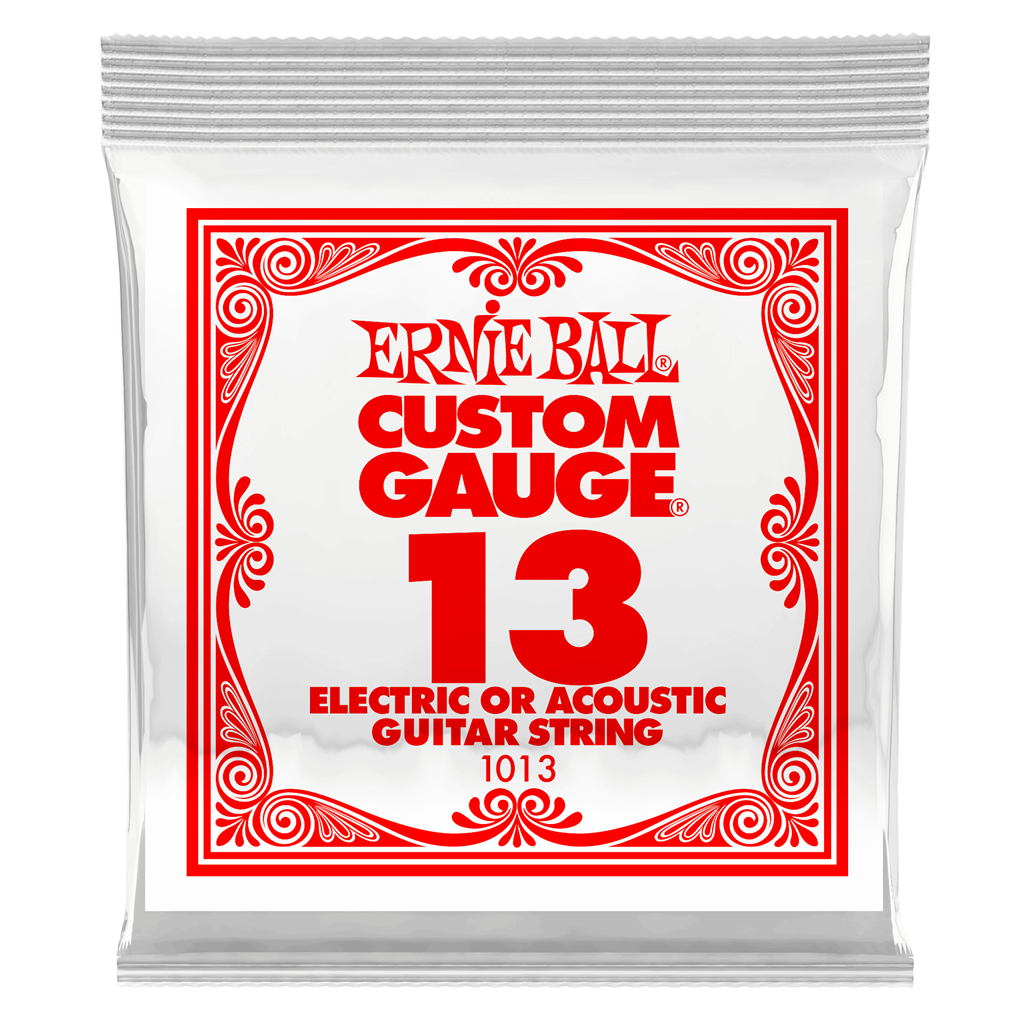Ernie Ball P01013