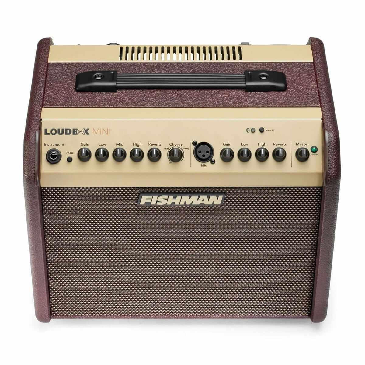 Fishman Loudbox Mini Bluetooth - MusicStreet