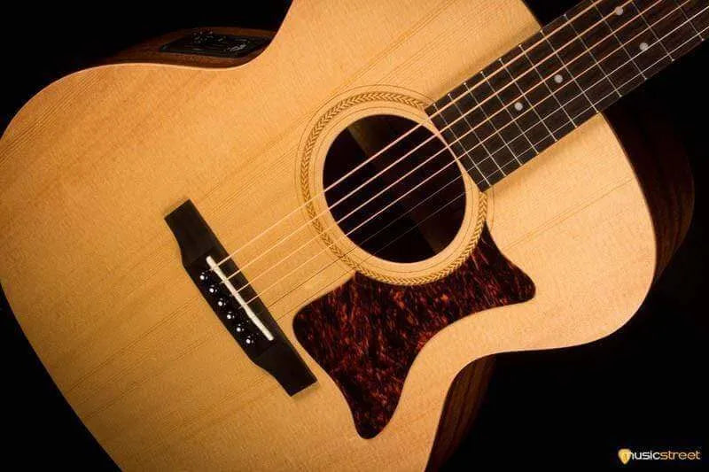 USED - Sigma Sig-GME including TGI hard case