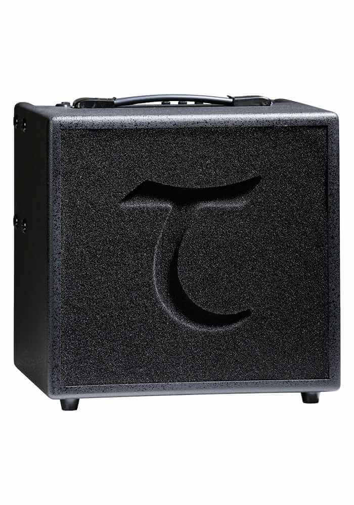 Tanglewood T6 Acoustic Guitar Amplifier