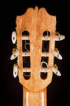 Admira A2 Classical - MusicStreet