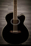 Aria Feb-30M Black Acoustic Bass - MusicStreet