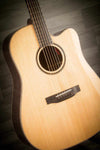 Auden Artist Series - Colton Rosewood & Spruce Cut Away - MusicStreet
