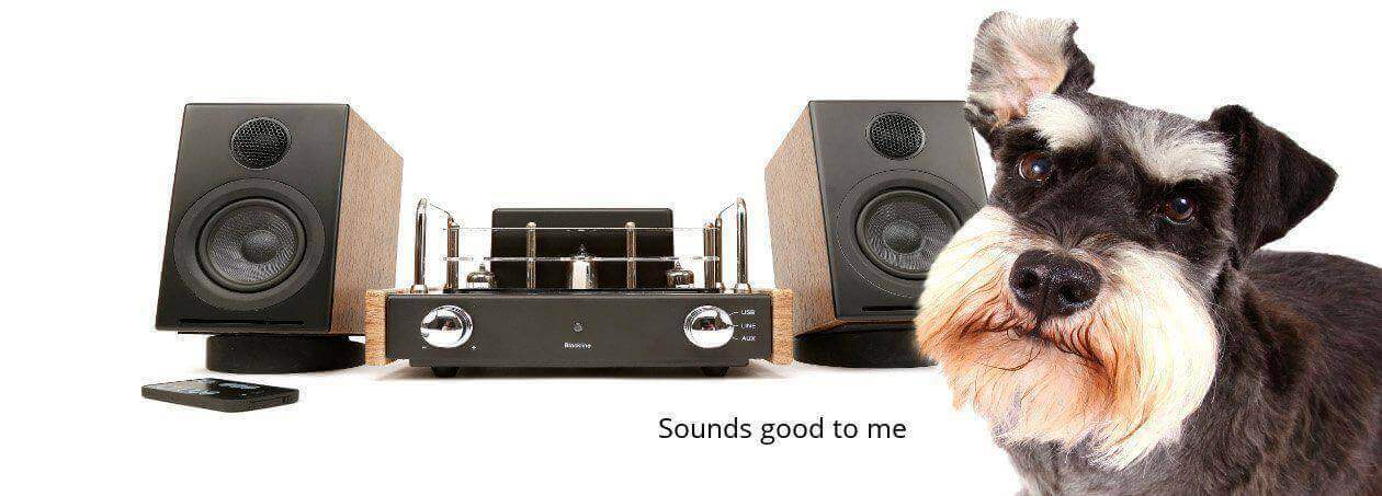 Blue Aura V30I Hybrid Valve Amplifier / Speaker System