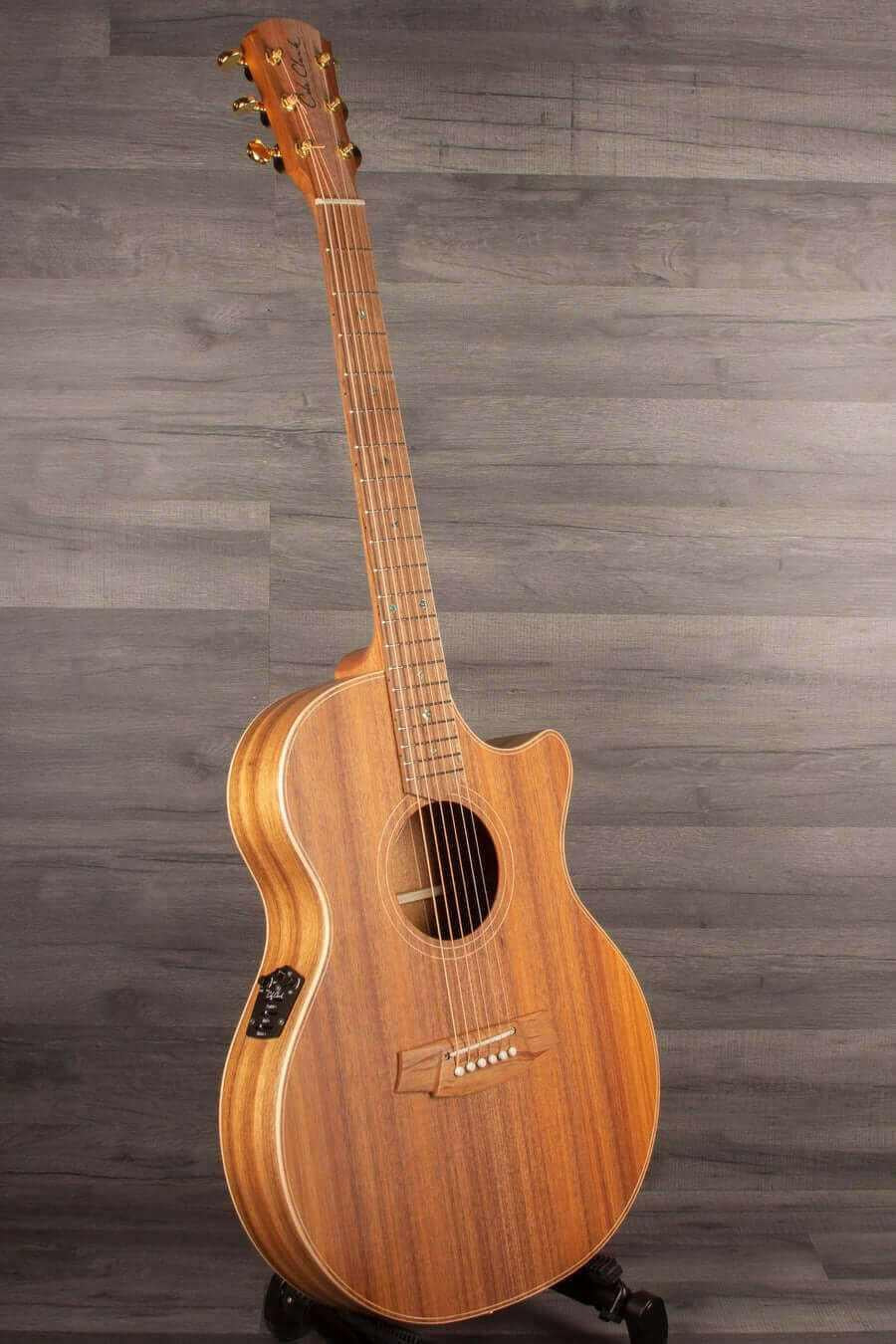 USED - Cole Clark Thinline TL 2 EC Blackwood/Blackwood