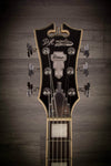 D'Angelico Electric Guitar D'Angelico Premier Brighton - Ocean Turquoise