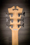 D'Angelico Electric Guitar D'Angelico Premier Brighton - Ocean Turquoise