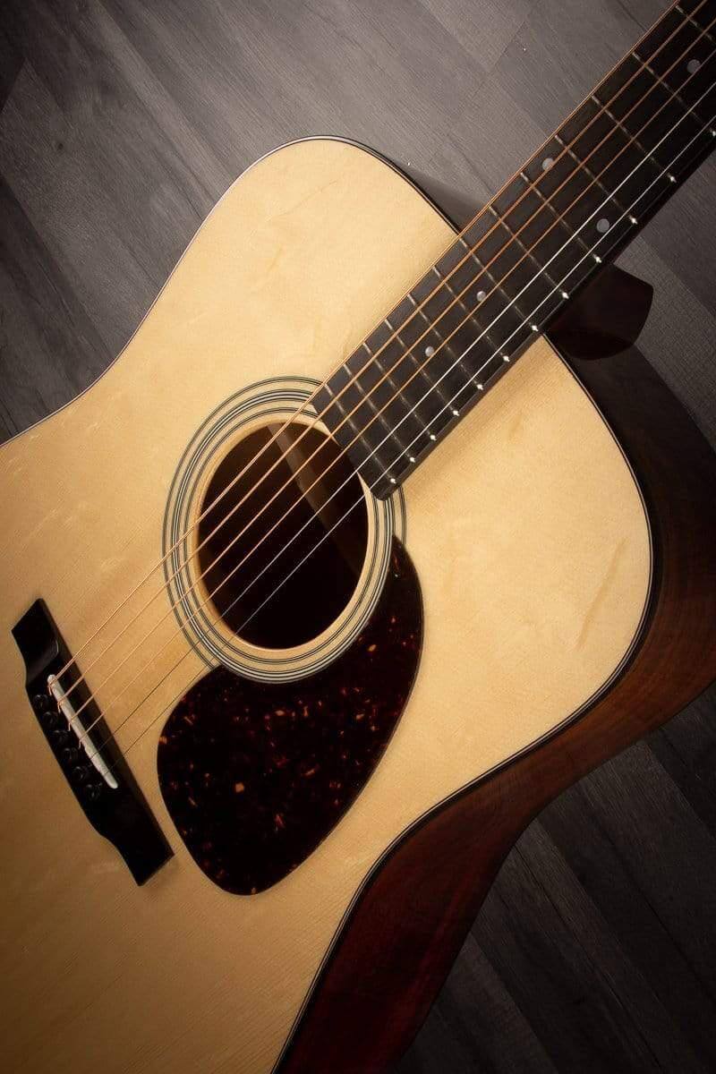 Eastman E6D-TC