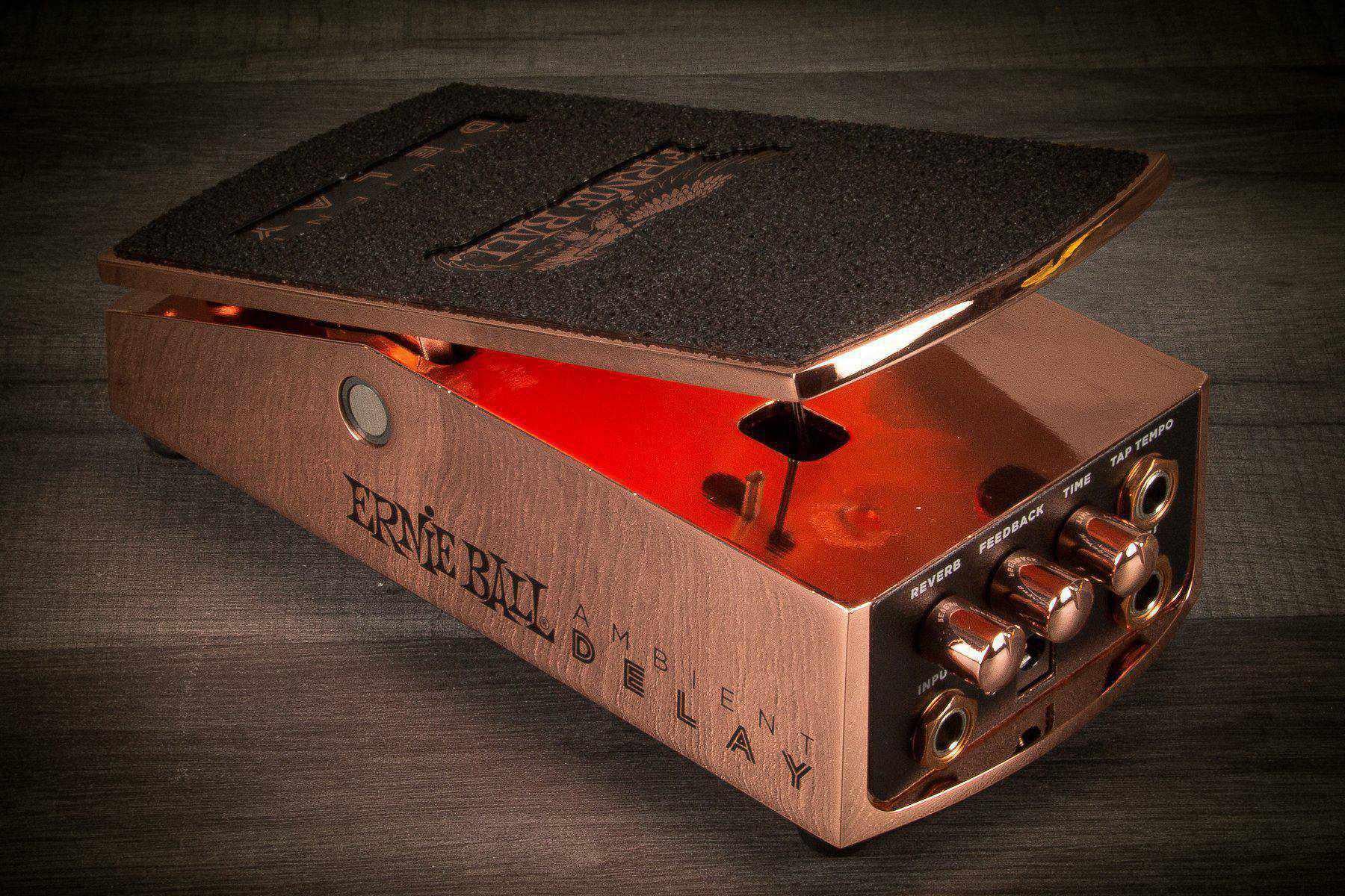 Ernie Ball Ambient Delay - MusicStreet