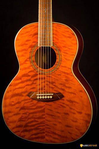 USED - Fender Gdo 300 Acoustic Guitar