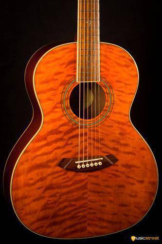 USED - Fender Gdo 300 Acoustic Guitar