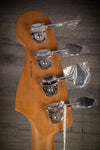 Fender Bass Guitar Fender - Limited Edition American Professional Precision Bass Roasted Daphne Blue