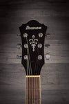 Ibanez AS53 Tobacco Flat - MusicStreet
