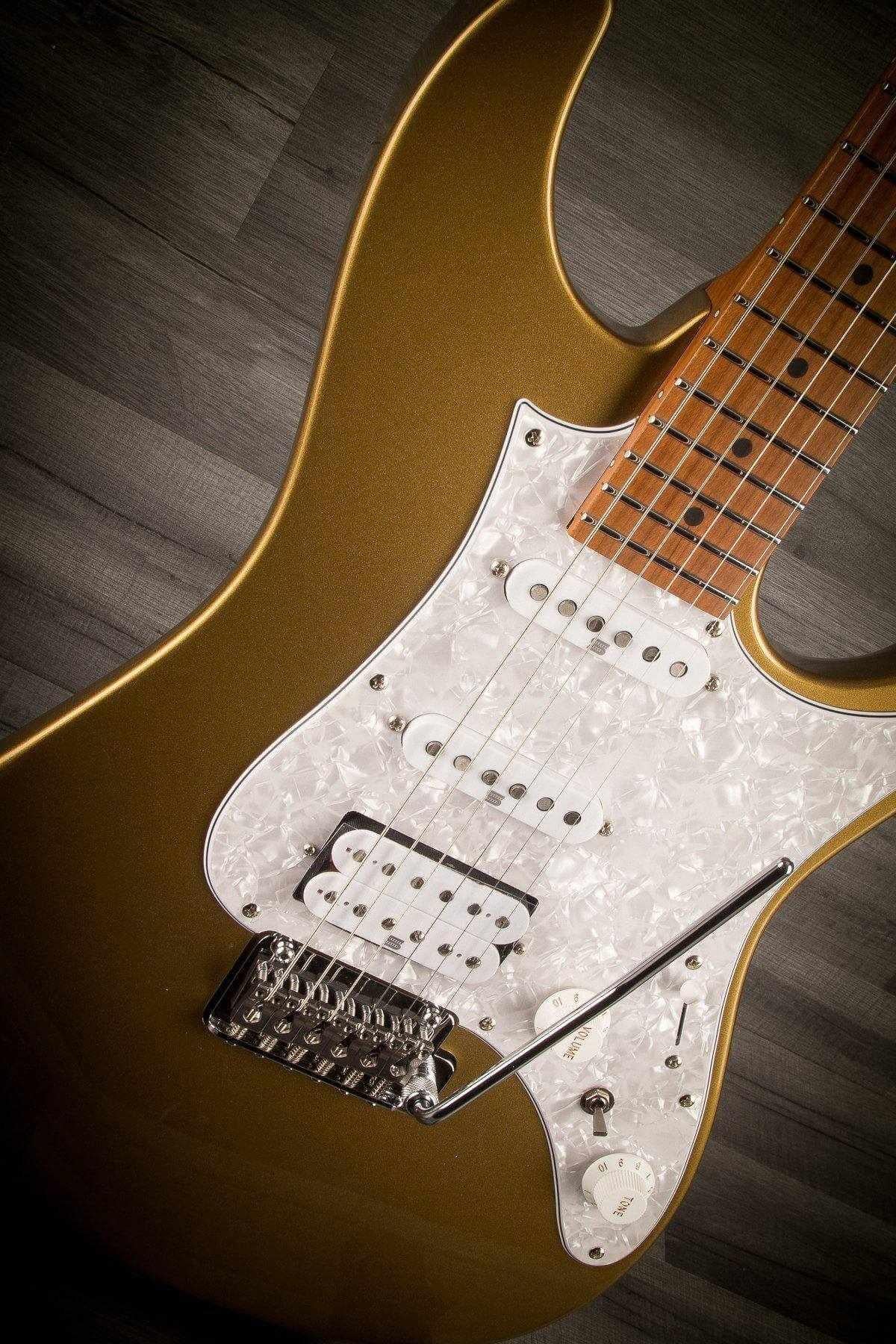 Ibanez AZ2204-GD