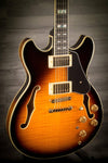 Ibanez Electric Guitar Ibanez JSM10-VYS