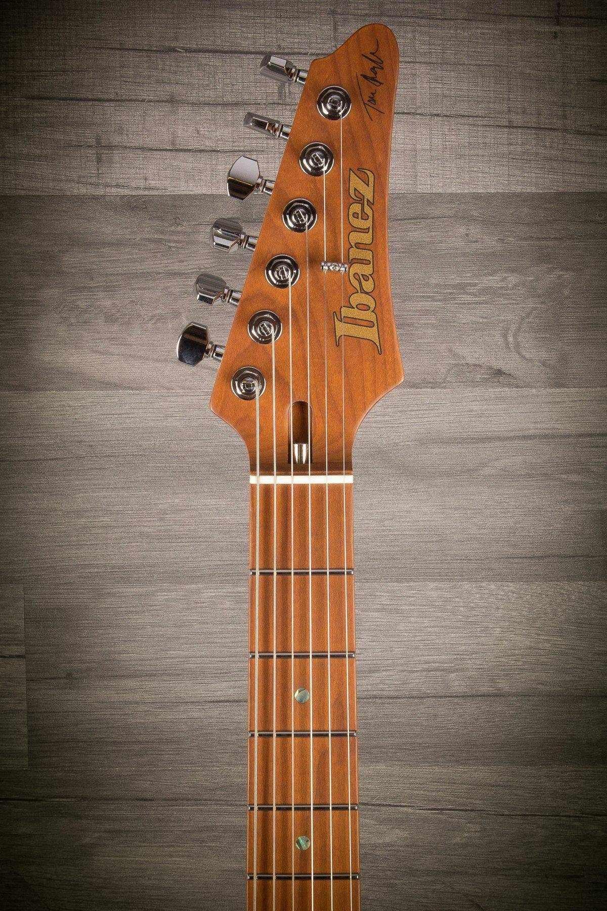 Ibanez TQM1 Tom Quayle HSS - Natural