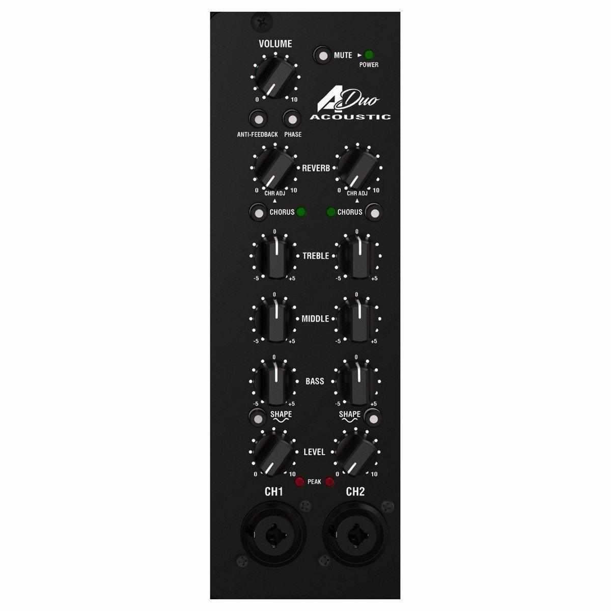 Laney A-duo