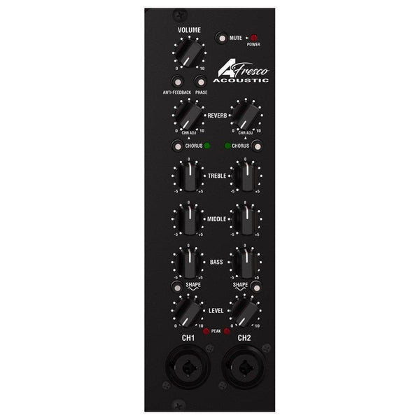 Laney A-Fresco-BP BUNDLE INC. BATTERIES AND CHARGER - MusicStreet