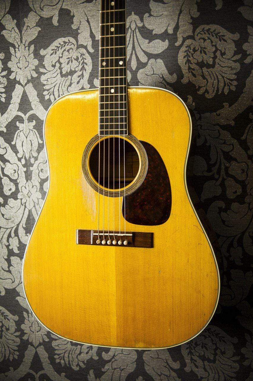 USED - Levin Ls-18 Acoustic (1963 - Super Goliath Model 1855)