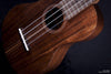 Maton Concert Ukelele - Blackwood - MusicStreet