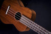 Maton Concert Ukelele - Silky Oak - MusicStreet