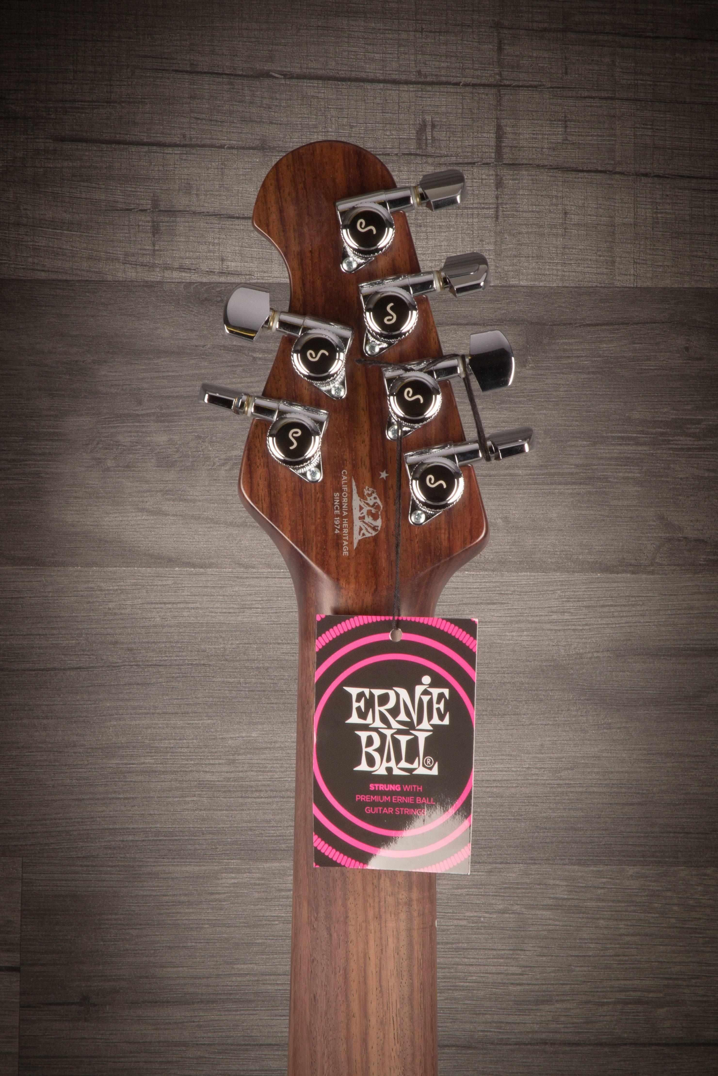 MusicMan Albert - HH Charcoal Frost
