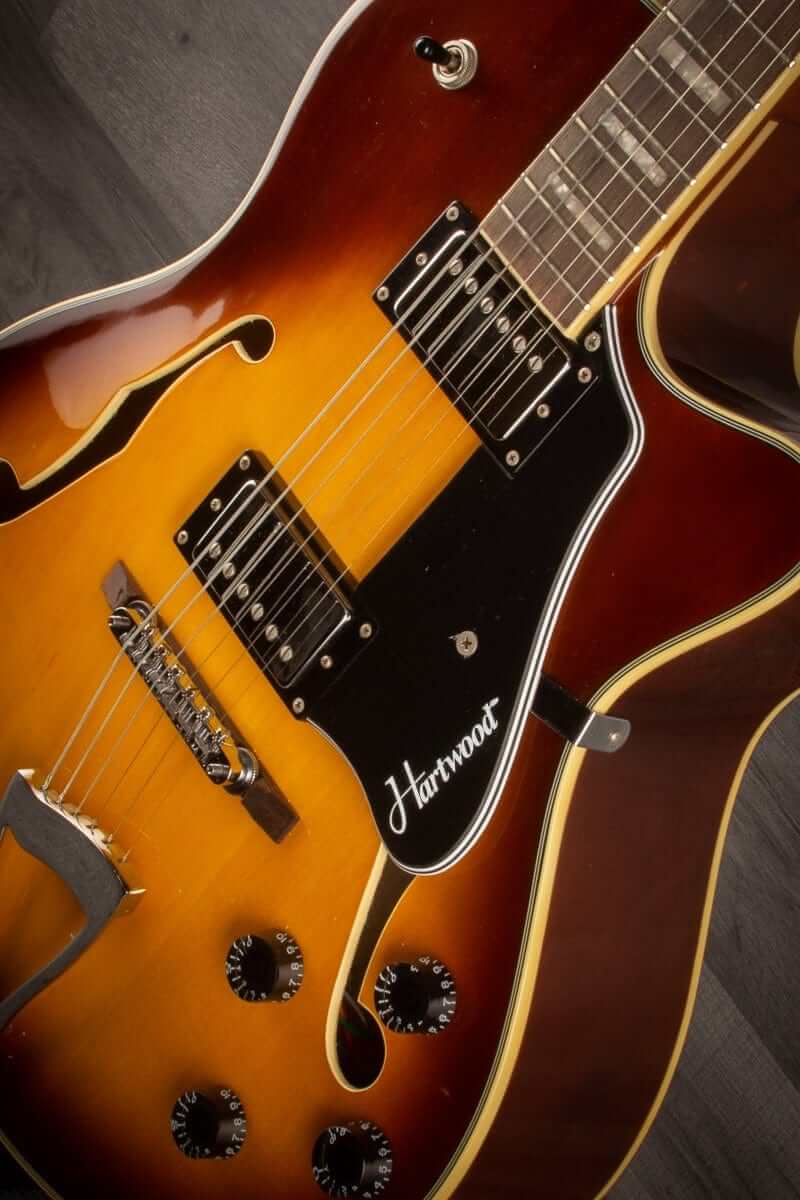 USED - Hartwood Novella Hollowbody Guitar