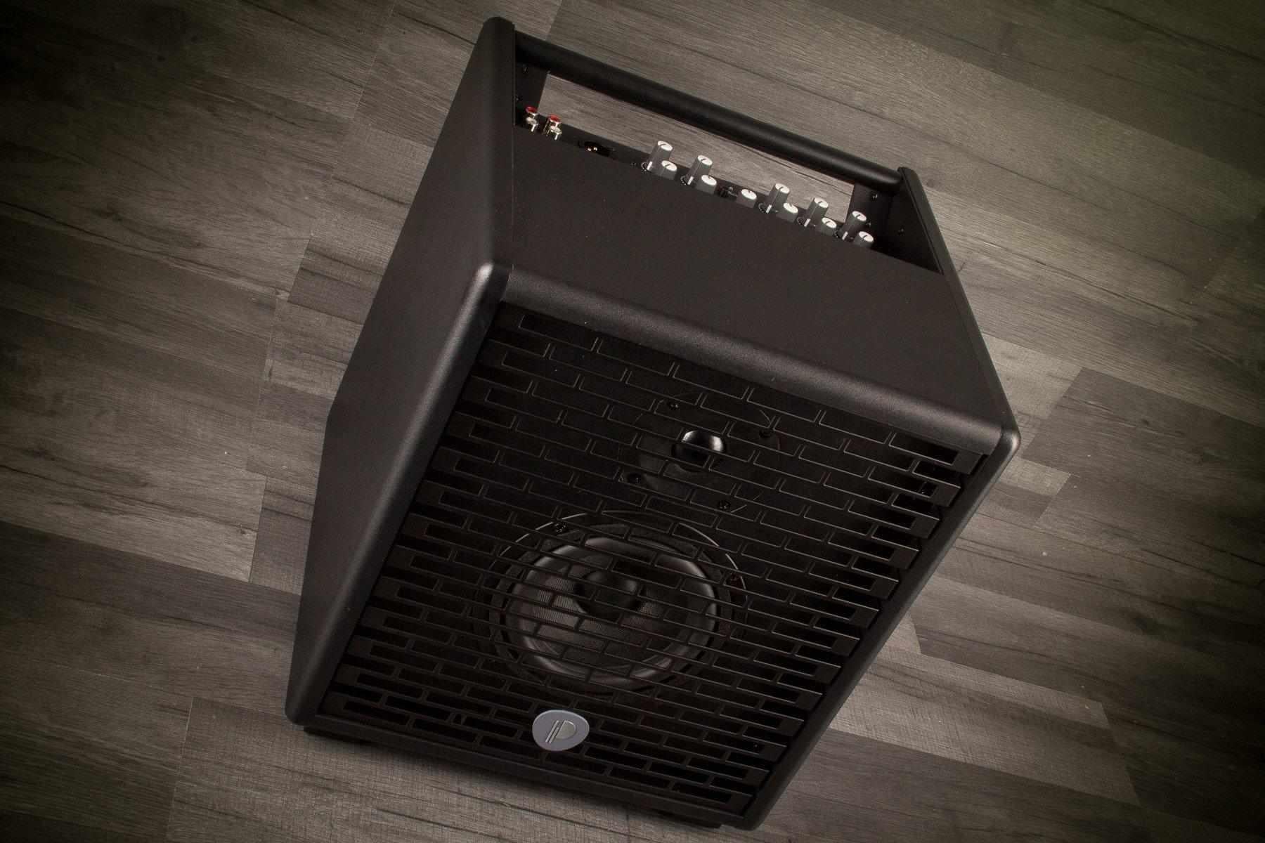 Prodipe Natural 5 Acoustic Guitar Amp