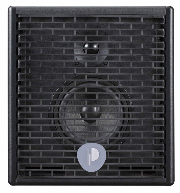 Prodipe Amplifier Prodipe Natural 5 Acoustic Guitar Amp