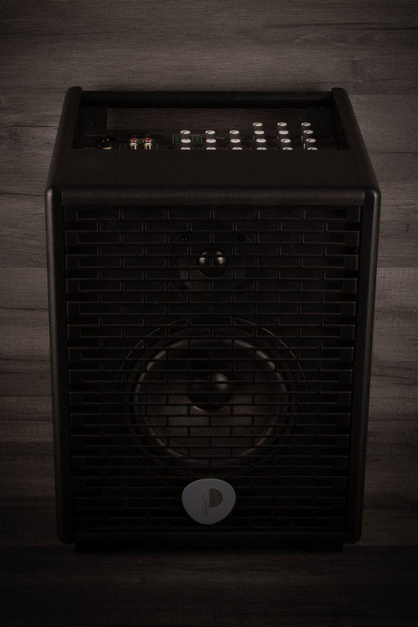Prodipe Amplifier Prodipe Natural 6 Acoustic Guitar Amp