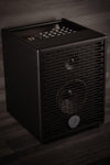 Prodipe Amplifier Prodipe Natural 6 Acoustic Guitar Amp