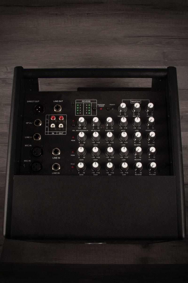 Prodipe Natural 6 Acoustic Guitar Amp