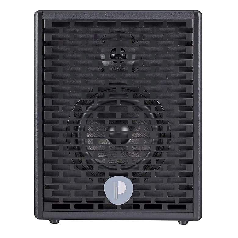 Prodipe Amplifier Prodipe Natural 6 Acoustic Guitar Amp