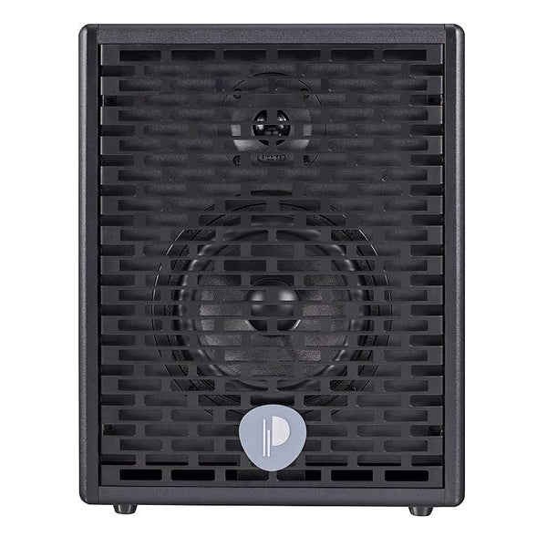 Prodipe Natural 6 Acoustic Guitar Amp